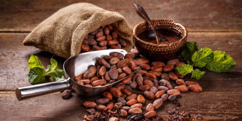 Cocoa Traceability